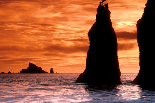 Twin Sea Stacks by Don Paulson