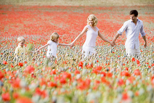 Family walking through poppy field