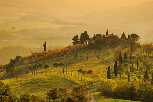 Tuscany Landscape