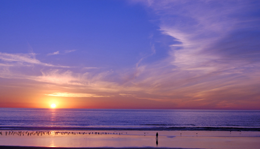 Beach sunset with a peaceful man and birds