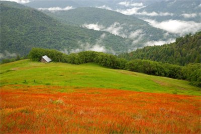 Historic Barn, Bald Hills, Redwood National Park, California