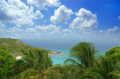 Clear blue see and palms in Cuba