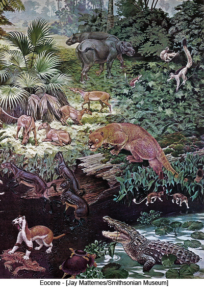 Eocene - [Jay Matternes/Smithsonian Museum]