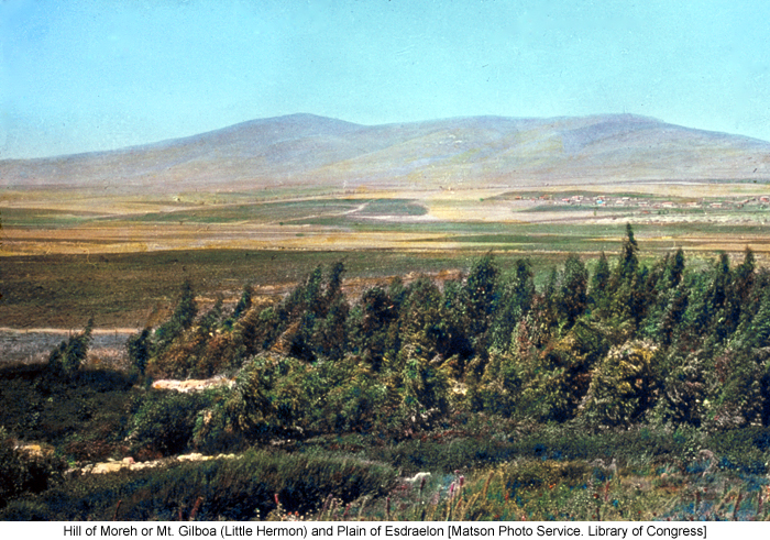 Hill of Moreh or Mt. Gilboa (Little Hermon) and Plain of Esdraelon [Matson Photo Service. Library of Congress]