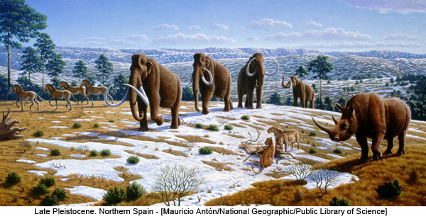 Late Pleistocene. Northern Spain - [Mauricio Antón/National Geographic/Public Library of Science]
