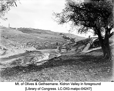 Mt. of Olives & Gethsemane. Kidron Valley in foreground [Library of Congress. LC-DIG-matpc-04247]