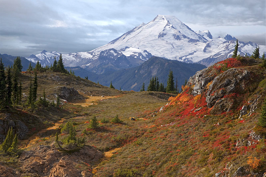 Mount Baker From Yellow Aster Butte, Washington by Don Paulson