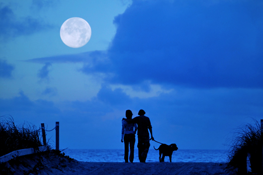 A man, a woman and a dog silhouetted  against a blue sky with a full moon over the ocean