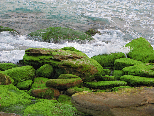Mossy green rocks