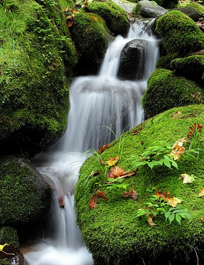 Beautiful waterfall between rocks covered by moss.