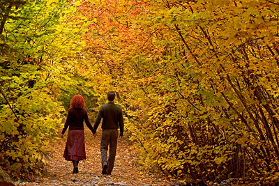 Couple walking in an Autumn forest by Don Paulson