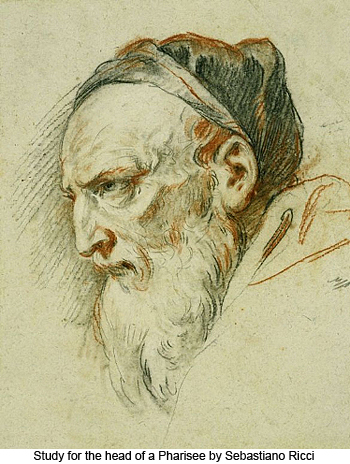 Study for the Head of a Pharisee by Sebastiano Ricci
