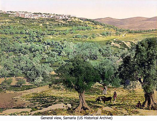 Samaria, general view, photograph