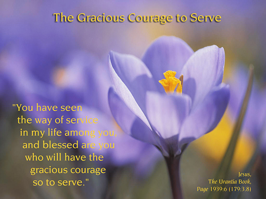 The Gracious Courage to Serve - Picture