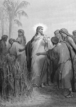 The Disciples Pick Corn on the Sabbath by Gustave Doré The Disciples Pick Corn on the Sabbath by Gustave Doré
