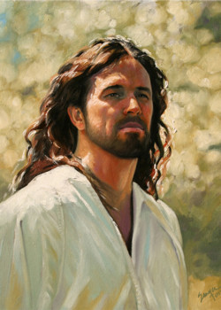 Divine Dignity by Steve Sawyer Divine Dignity by Steve Sawyer