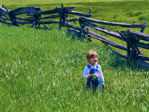 A smiling little girl in a field of grass next to a split-rail fence