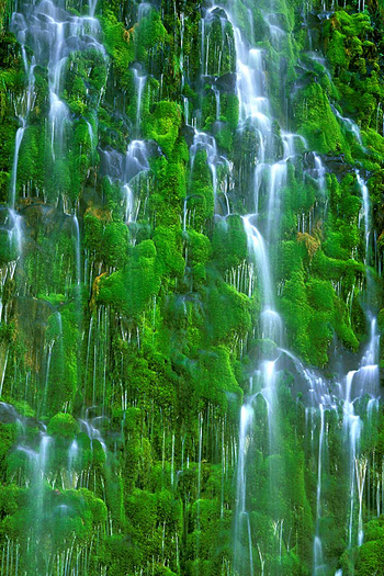 A cascading waterfall through a green mossy wall