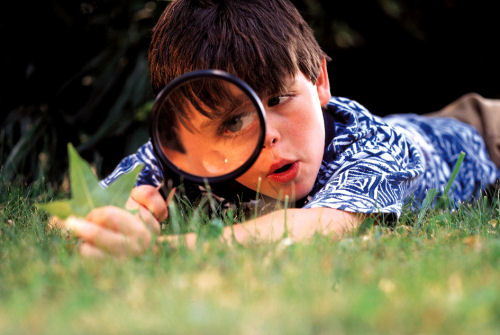 Young boy with a magnifying glass peering at a blade of grass