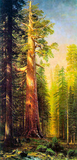 The Great Trees by Albert Bierstadt