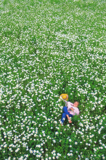 child in a field of daisies