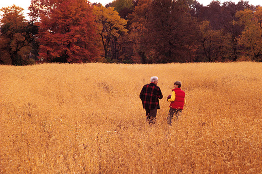 Grandfather and grandson in a wheat field
