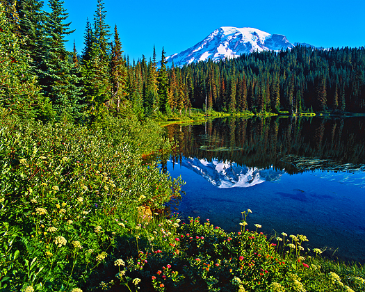 Summer mountain scene with reflecting lake