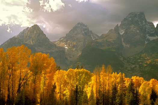 Fall in the Tetons, Wyoming by Don Paulson