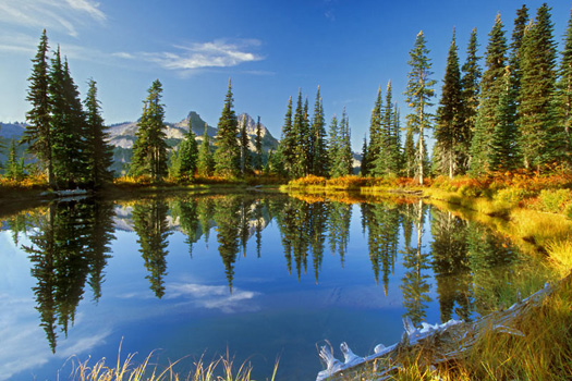 Tatoosh Reflection, Mount Rainier National Park by Don Paulson