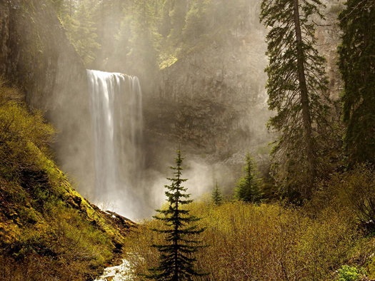 Tamanawas Falls, Mount Hood National Forest, Oregon by Don Paulson