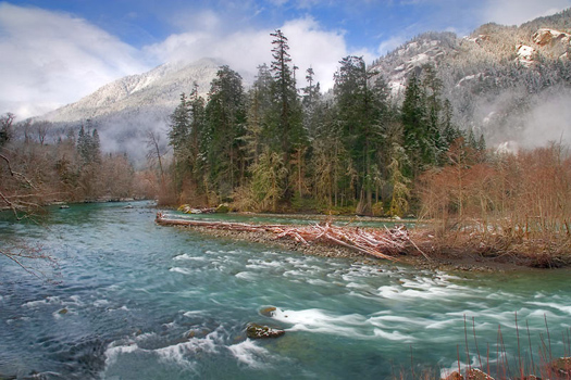 Elwha River, Olympic National Park by Don Paulson