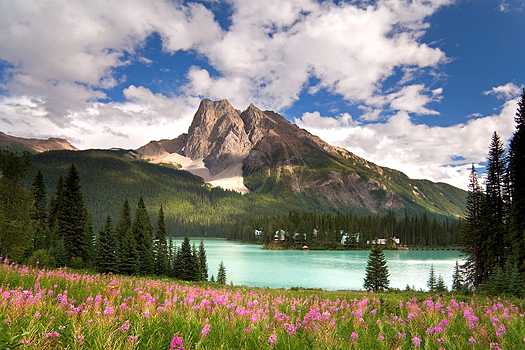 Canadian Rockies by Don Paulson