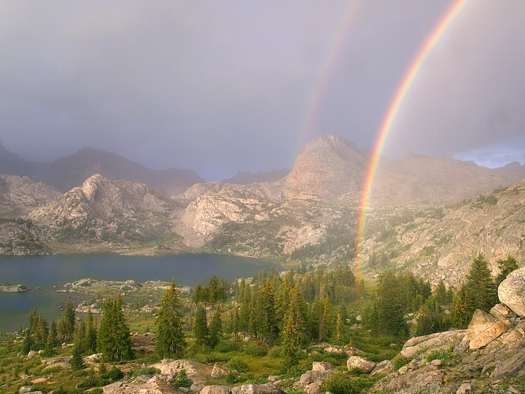 Island Lake Rainbow, Bridger National Forest, Wyoming by Don Paulson