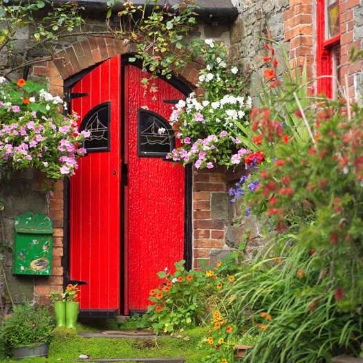 Ireland - Kinsale - Red Door in brick wall with overhanging flowers