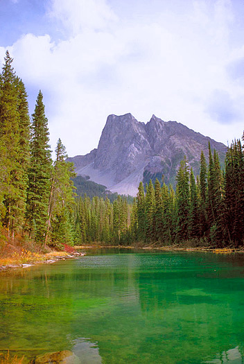 Forest with green lake and mountains in background