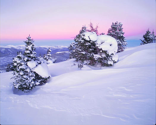 Winter Twilight - Holy Cross Wilderness near Vail by John Fielder