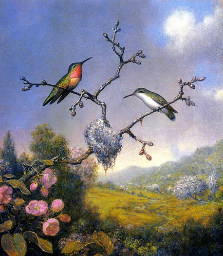 Hummingbirds and Apple Blossoms by Martin Johnson Heade