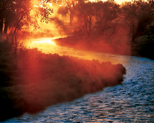 Steaming Creekside Sunrise by Robert Castellino