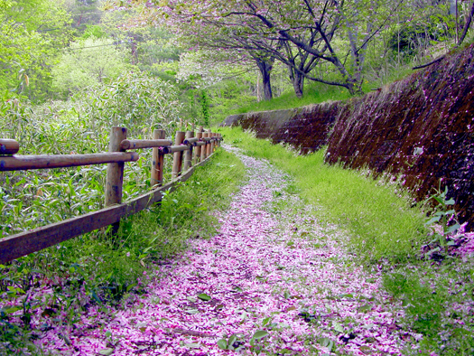 Spring path