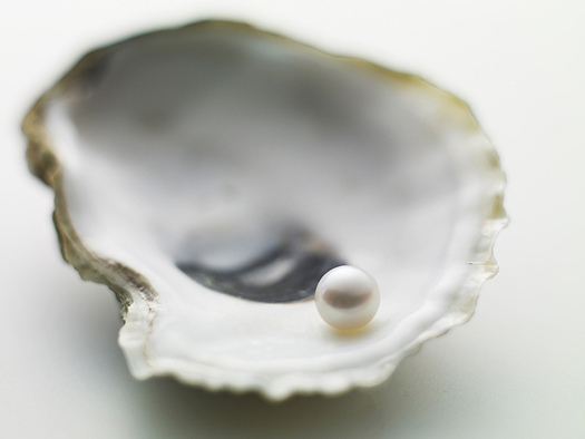 Single pearl on an oyster shell