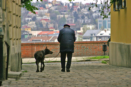 Elderly man with dog on cobbled street
