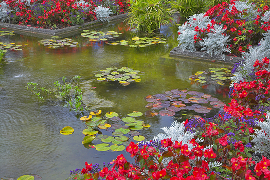 A pond and flowers in a Canadian park.