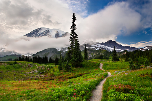 Trail to Mount Rainier