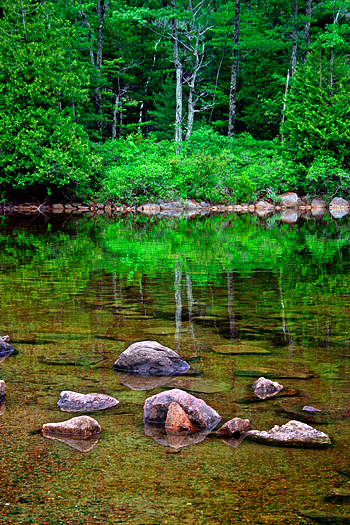Reflecting pool with rocks and Summer greenery