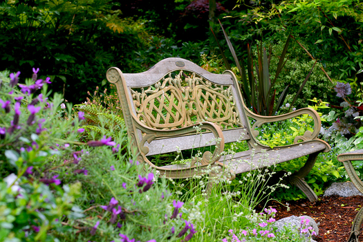 Garden bench in flower garden