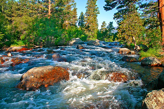 A stream in Rocky Mountain National Park.