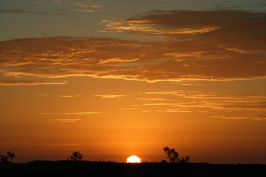 Australian Outback landscape during a sunset.