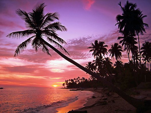 Beautifull pink and purple tropical sunset at sea