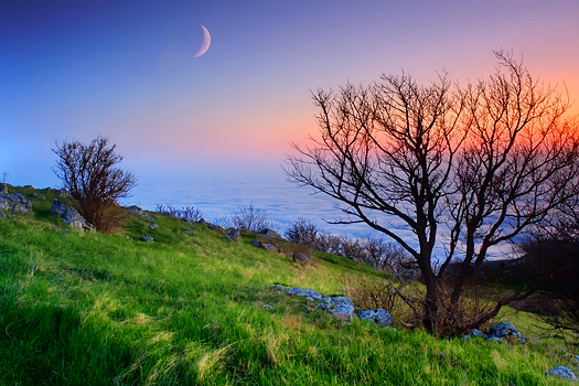 simple nature landscape with a moon background
