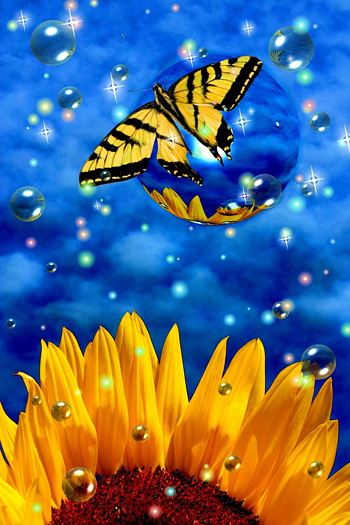 Surreal butterfly on bubble with sunflower and stars